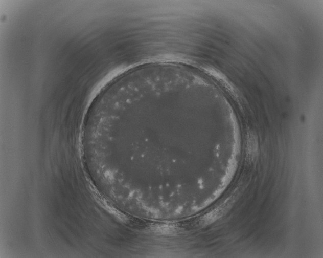 X0000084581278200703091827