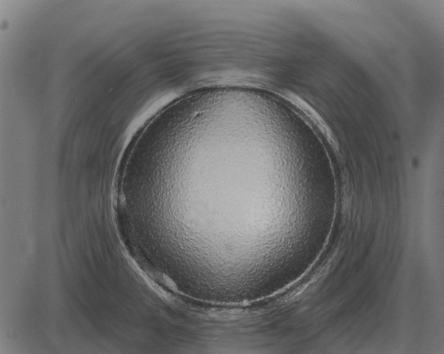 X0000084581285200703091827