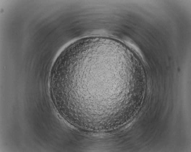 X0000084581288200703091827