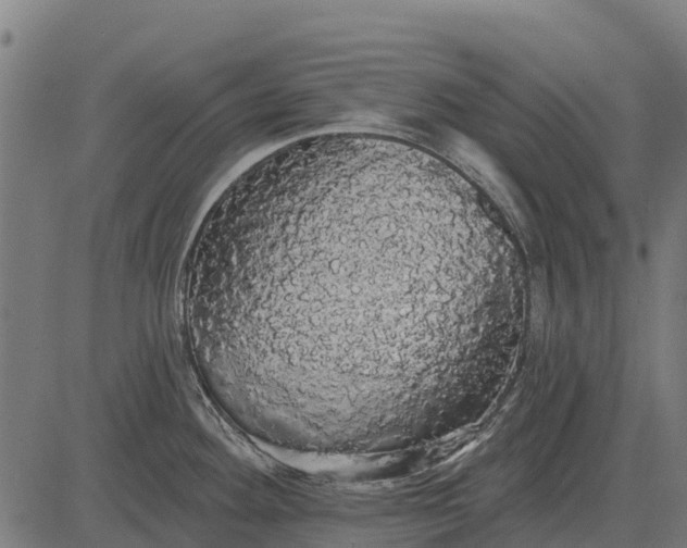 X0000084581292200703091827