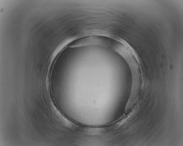 X0000084581293200703091827