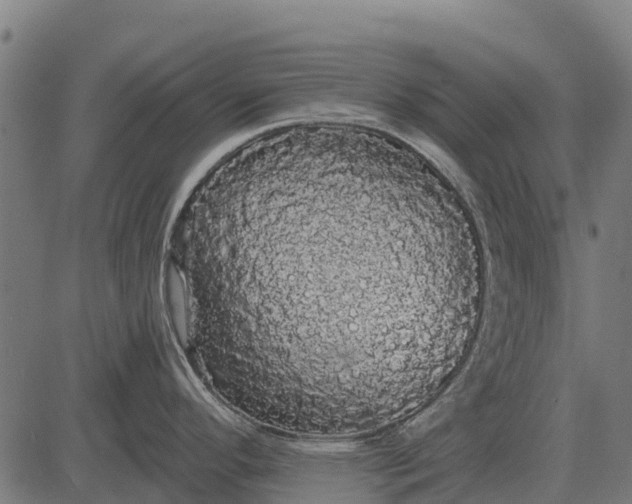 X0000084581296200703091827