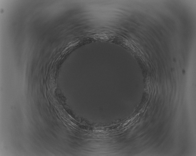 X0000084581297200703091826