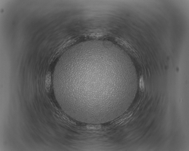 X0000084581299200703091826