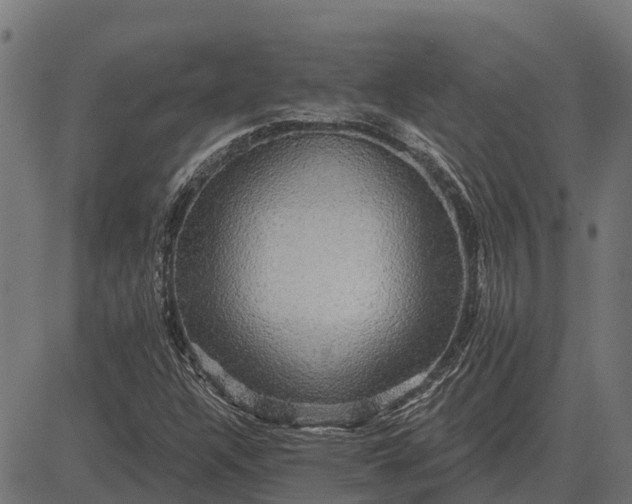 X0000084581304200703091826