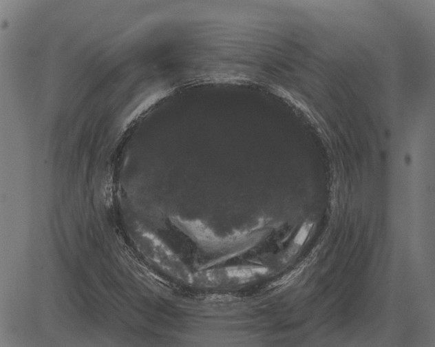 X0000084581306200703091826