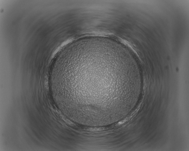 X0000084581307200703091826