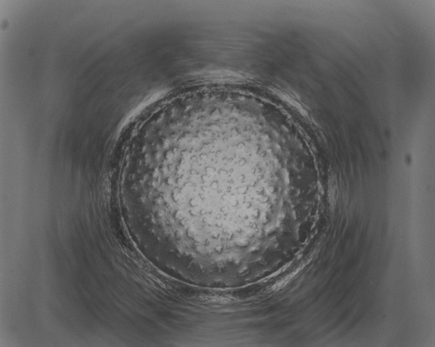 X0000084581309200703091826