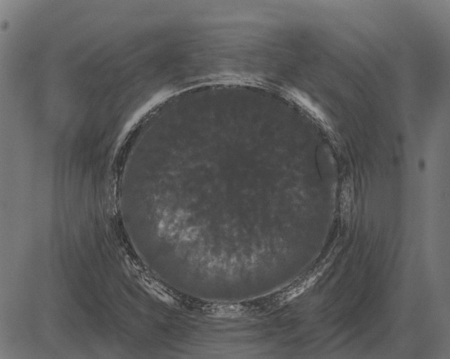 X0000084581310200703091826