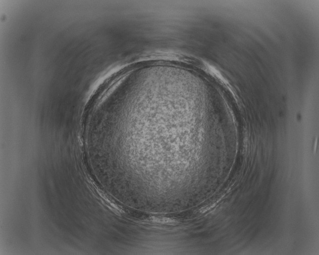 X0000084581312200703091826