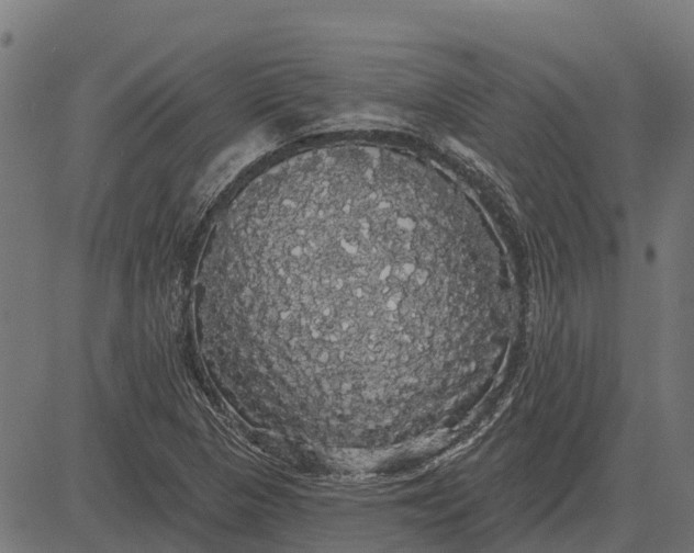 X0000084581313200703091826