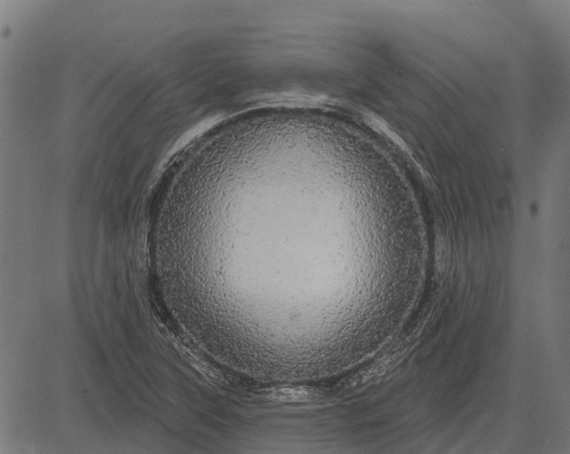 X0000084581315200703091826