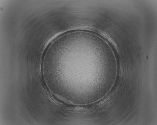 X0000084581316200703091826