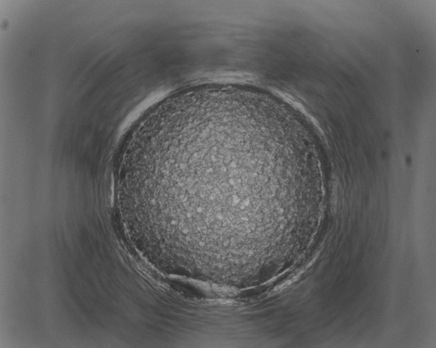 X0000084581317200703091826