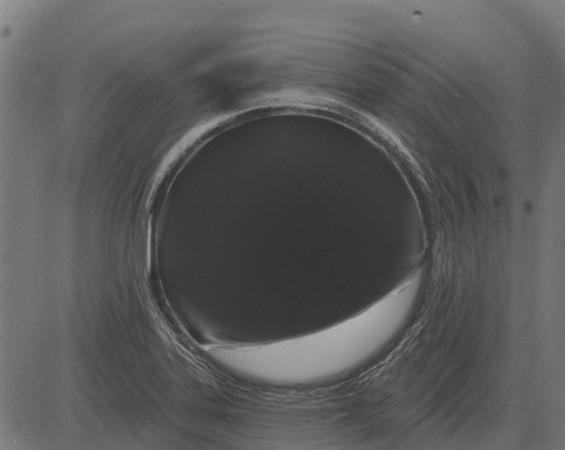 X0000084581323200703091827
