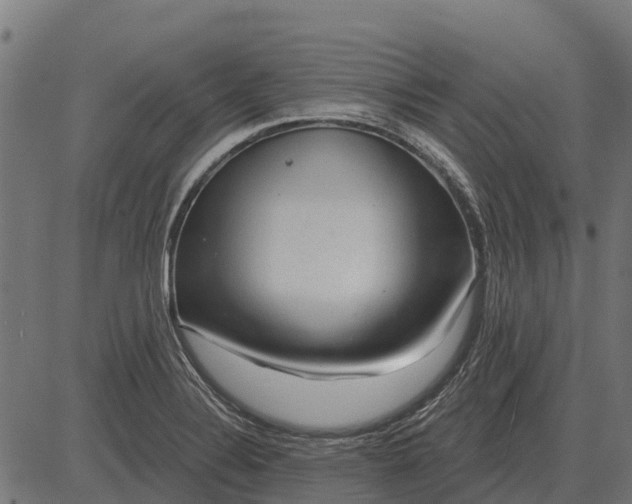 X0000084581324200703091827