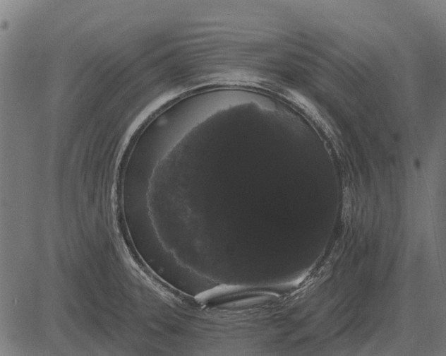 X0000084581331200703091827