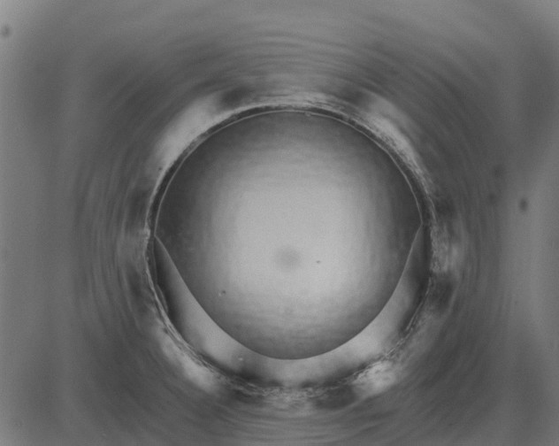 X0000084581332200703091827