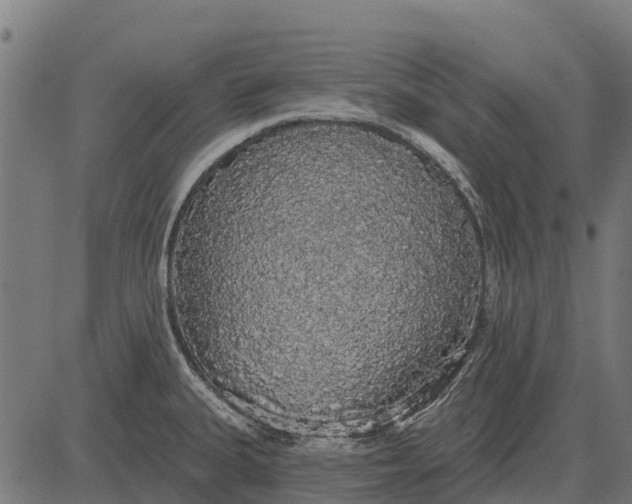 X0000084581335200703091827