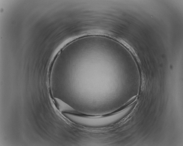 X0000084581342200703091827