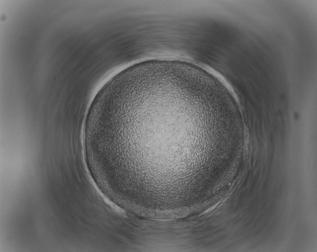 X0000084581343200703091827
