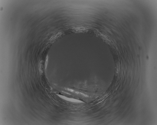 X0000084581346200703091826
