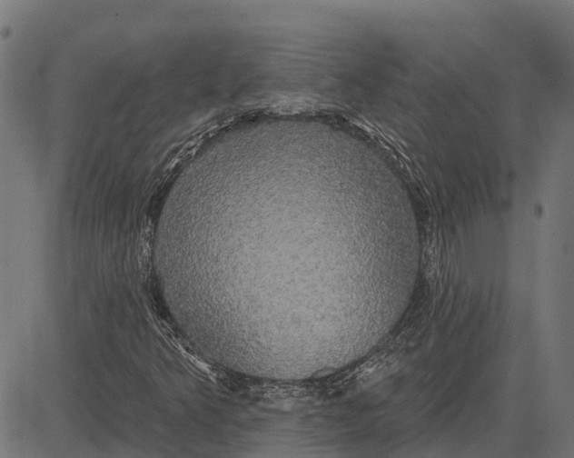 X0000084581349200703091826