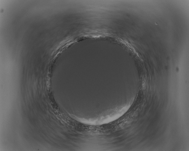 X0000084581350200703091826