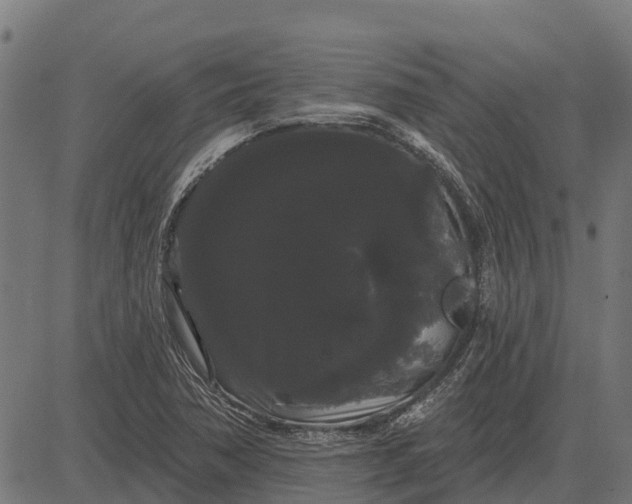 X0000084581362200703091826