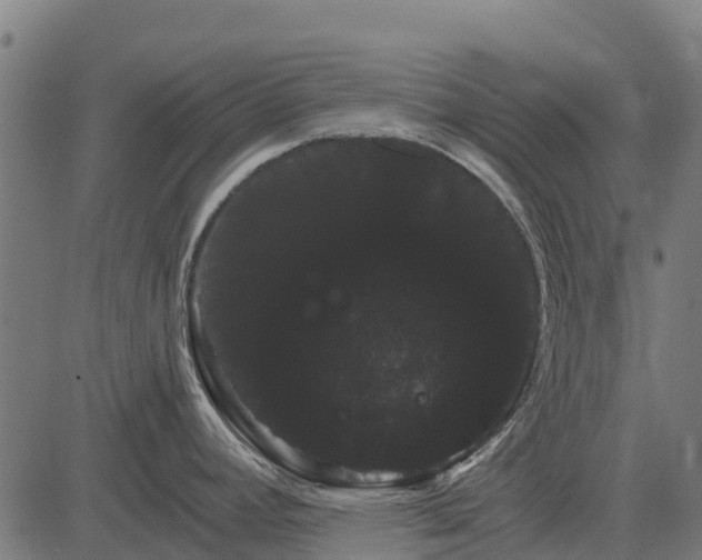 X0000084581392200703091825