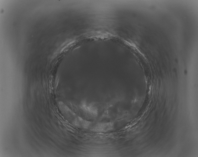 X0000084581399200703091825