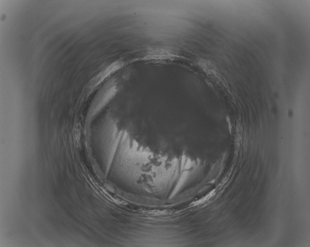 X0000084581401200703091825