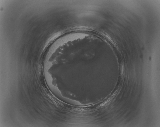 X0000084581405200703091825