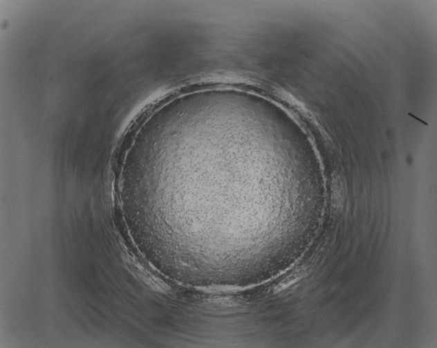 X0000084581408200703091825