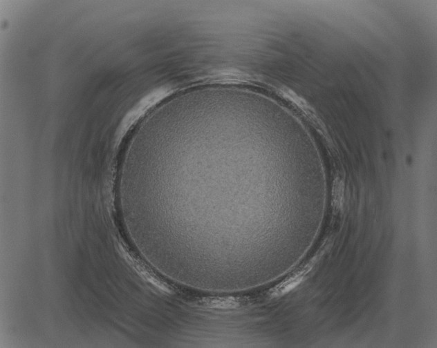 X0000084581410200703091825
