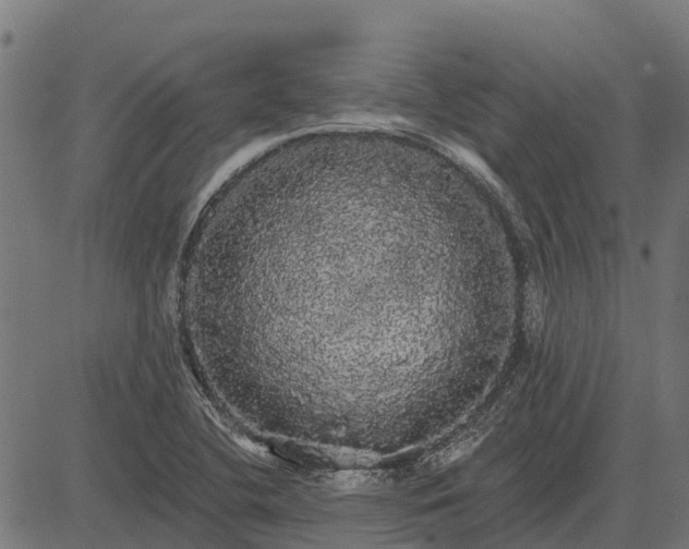 X0000084581412200703091825