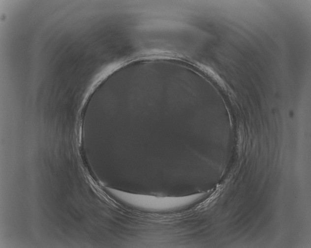 X0000084581413200703091825