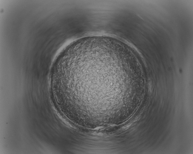 X0000084581416200703091825