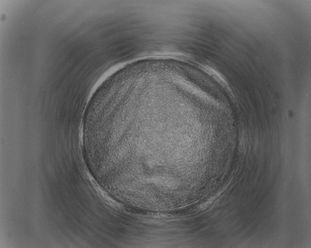 X0000084581420200703091825