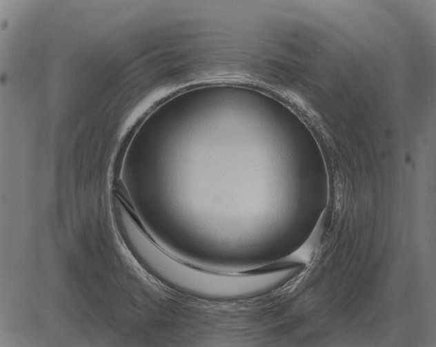X0000084581422200703091825