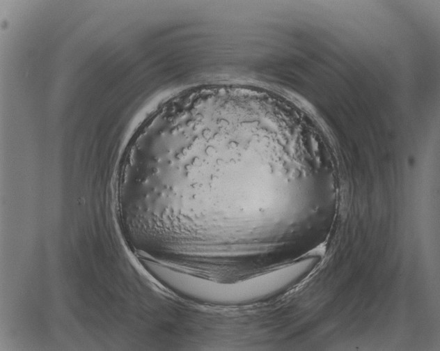 X0000084581432200703091825