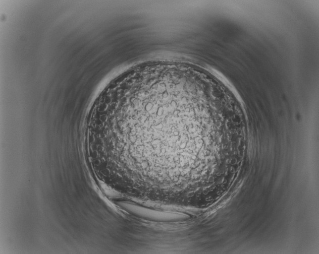 X0000084581437200703091825