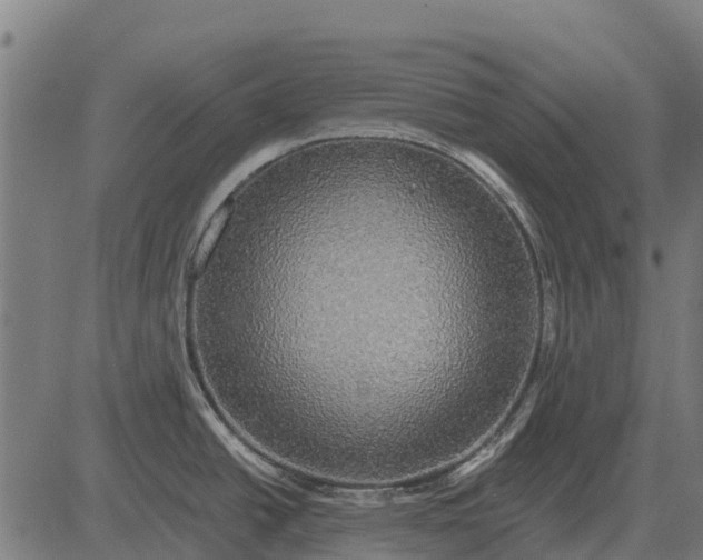 X0000084581438200703091825