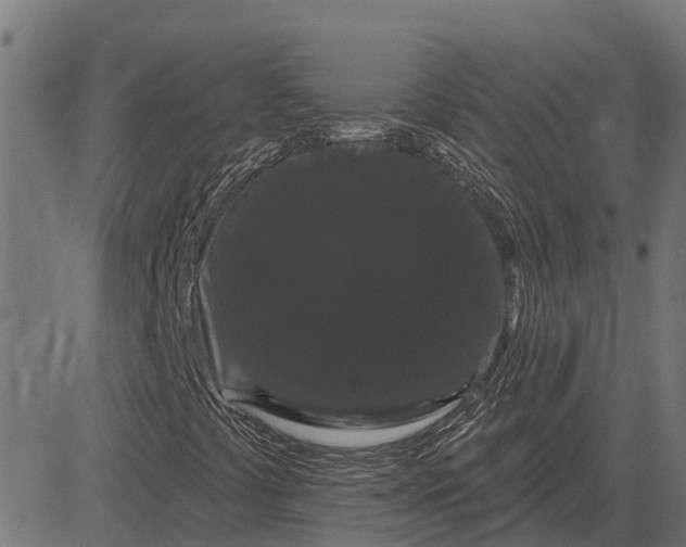 X0000084581441200703091825