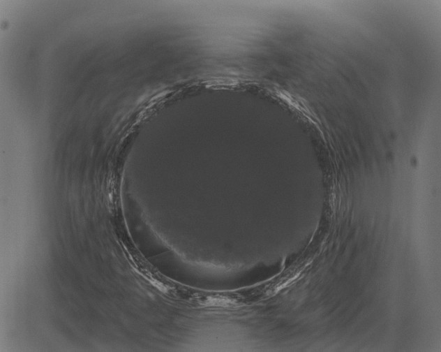 X0000084581445200703091824