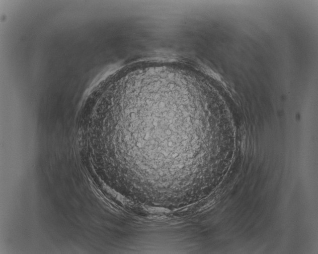 X0000084581448200703091824