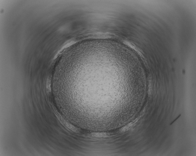 X0000084581451200703091824