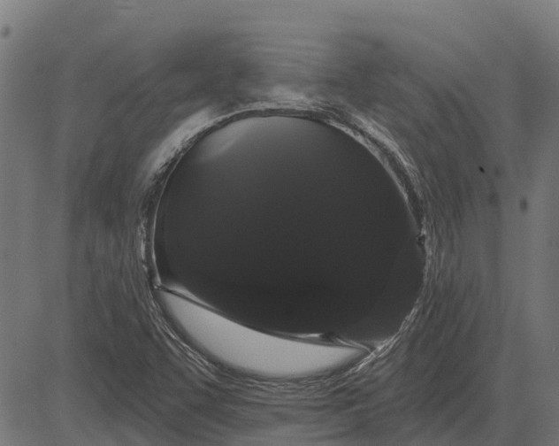 X0000084581455200703091824
