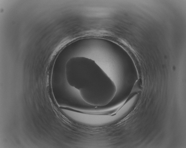 X0000084581459200703091824