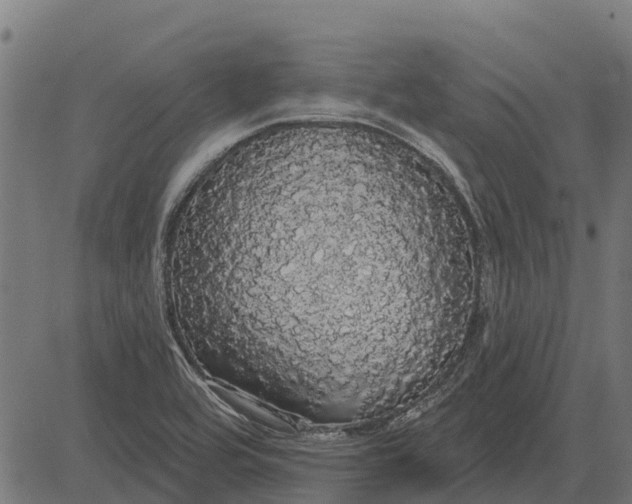X0000084581464200703091824
